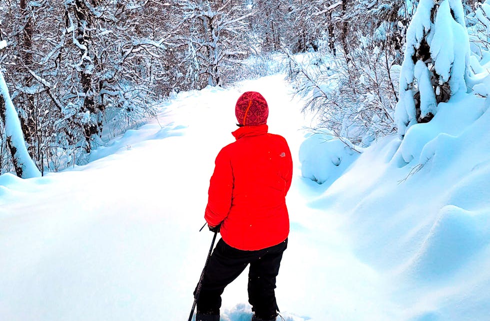 Det er vakre omgivelsar og godt med snø her i Nordstøldalen, men dei preparerte skispora manglar.