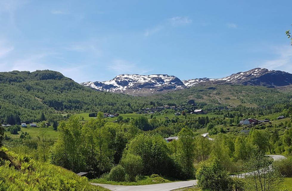Svandal i grøn vårdrakt 17. mai.
