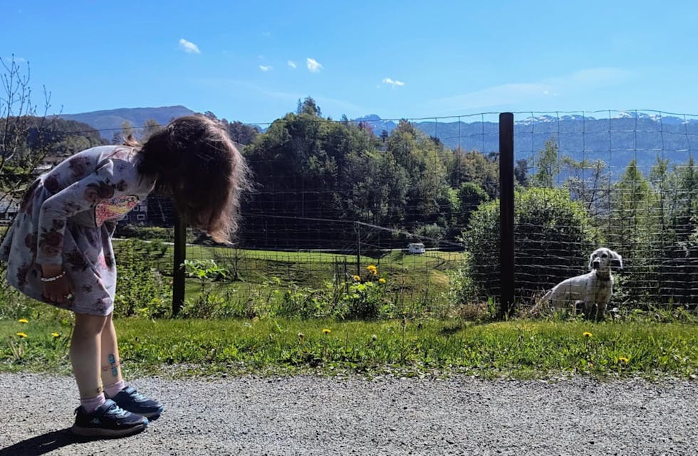 Violetta var på veg til Anna´s kafe for å feira bursdagen til bror sin då ho møtte på ein søt hund.