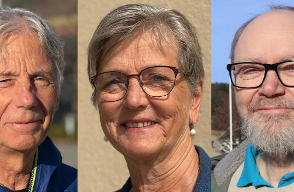 Lesarinnlegget er innsendt av Kjell Arnold Pettersen (R), Elin Kjellstad (SV) og Alan G. Thompson (SV).