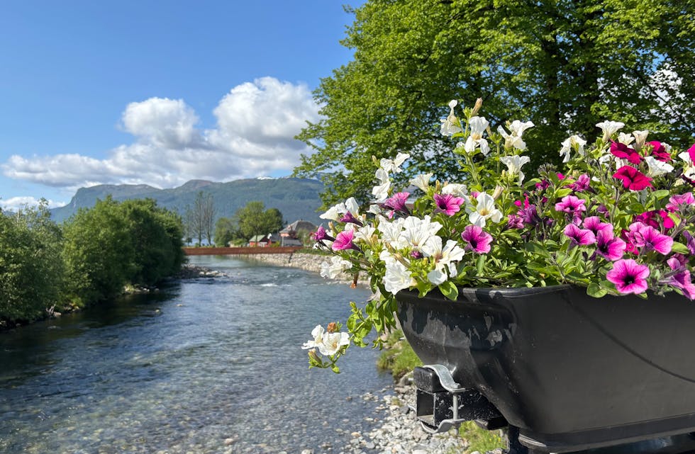 Nordelva og blomeprakt 31. mai i år.