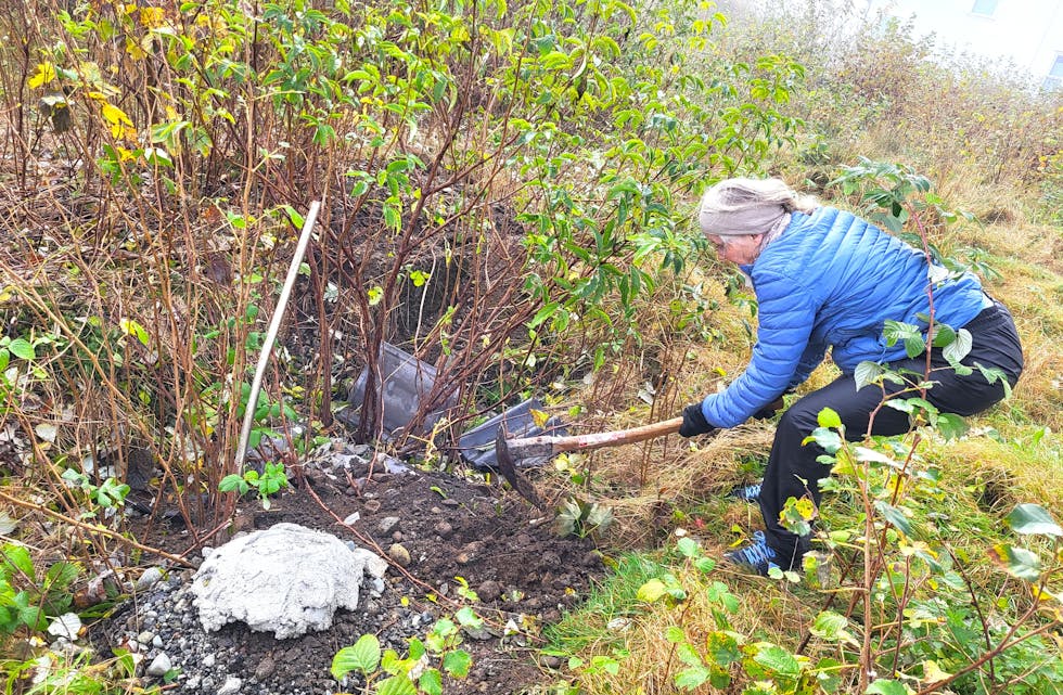 Anne Marie Austarheim har sett seg lei av at skrot blir dumpa på hennar eigedom i Høllandsveien.