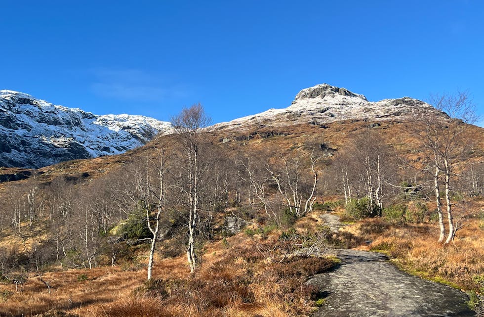 –Skikkelig friskt og fint i dag. The stairway to heaven, skriv fotografen.