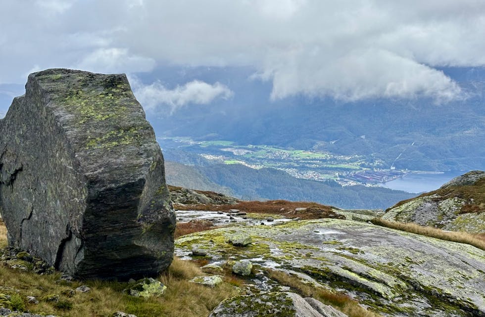Sauda frå Jakobskår 17.09.25.